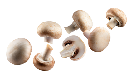 Flying champignon mushrooms - isolated on transparent background