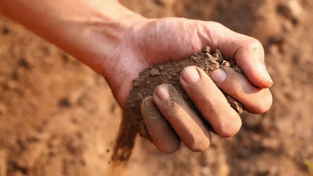An experienced farmer checks the quality of the soil. farmer's hands holding soil to test the quality and health of the soil before sowing. Nature, gardening concept.