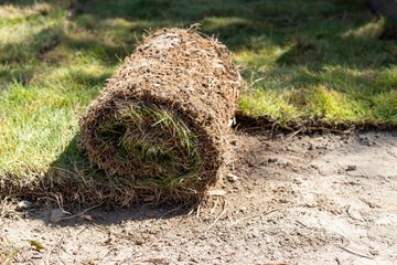 Closeup of grass rolls laying on the ground for new lawn