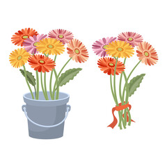 A set of a bouquet of gerberas standing in a decorative bucket and a bouquet tied with a ribbon. Posy icon. Bright flowers isolated on white background. Vector illustration.