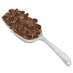 coffee bean
