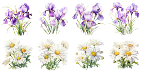 watercolor purple iris and white daisy flowers Artificial Intelligence Generative