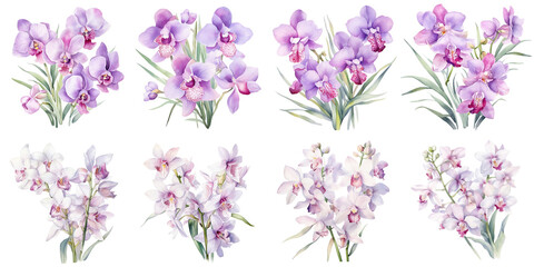 watercolor painting of vanda orchids and dendrobium orchids flowers Artificial Intelligence Generative