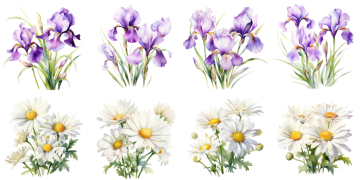 watercolor purple iris and white daisy flowers Artificial Intelligence Generative