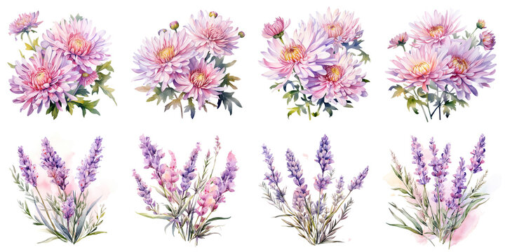 Fototapeta watercolor pink daisies and pink lavender flowers Artificial Intelligence Generative