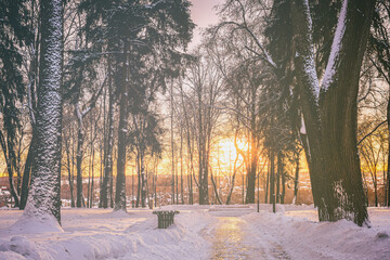 Sunset or dawn in a winter city park with trees, benches and sidewalks covered with snow and ice. Vintage film aesthetic.