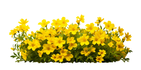 yellow flower bush Artificial Intelligence Generative