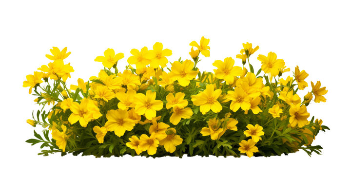 yellow flower bush Artificial Intelligence Generative