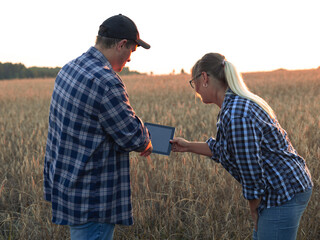 The farmer explains to the woman and shows the yield indicators of wheat fields on the tablet....