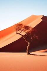 A solitary tree stands tall in the vast expanse of a desert. This image can be used to depict isolation, resilience, and the harsh beauty of nature