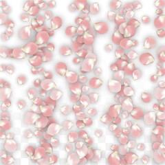 Pink Vector Realistic Petals Falling on Transparent Background.  Spring Romantic Flowers Illustration. Flying Petals. Sakura Spa Design. Blossom Confetti. Design Elements for Wedding Decoration.