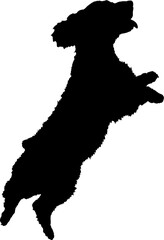 Spaniel jumping. High quality Dog silhouette Breeds Bundle Dogs on the move. Dogs in different poses.
The dog jumps, the dog runs. The dog is sitting. The dog is lying down. The dog is playing