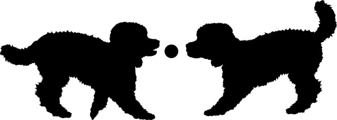 Poodle Dogs are playing Dog silhouette Breeds Bundle Dogs on the move. Dogs in different poses.
The dog jumps, the dog runs. The dog is sitting. The dog is lying down. The dog is playing