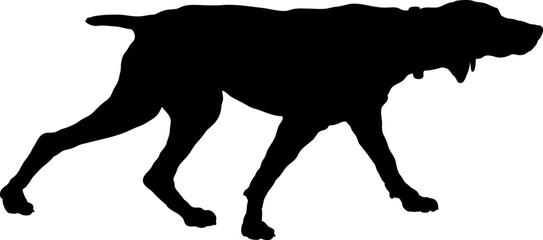 Pointer dog sneaking Dog silhouette Breeds Bundle Dogs on the move. Dogs in different poses.
The dog jumps, the dog runs. The dog is sitting. The dog is lying down. The dog is playing