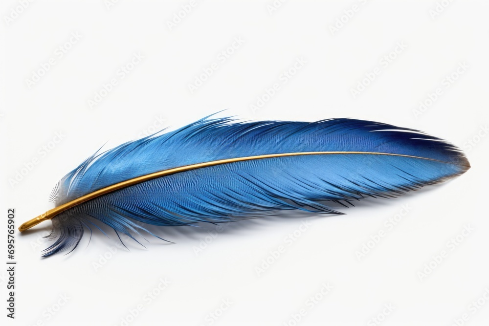 Poster A single blue feather placed on a clean white background. Perfect for adding a touch of elegance and beauty to any project
