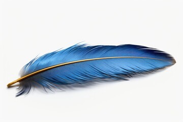 A single blue feather placed on a clean white background. Perfect for adding a touch of elegance and beauty to any project