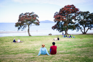 Couple relaxing on Takapuna beach. Pohutukawa trees in full bloom. Rangitoto Island in the...