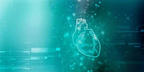 2d illustration  Anatomy of Human Heart 