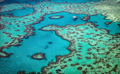 Fototapeta na wymiar The aerial view of the Great Barrier Reef and the famous heart reef from helicopter