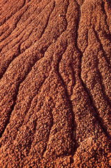 Texture of the Crimson Red Ground at the Painted Hills Unit of John Day Fossil Beds National Monument