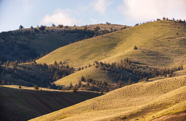The Rolling Hills of John Day Fossil Beds National Monument