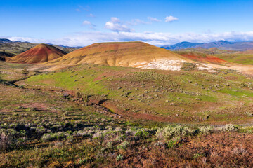 The Rolling Hills of John Day Fossil Beds National Monument