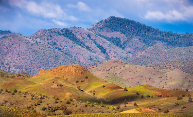 The Rolling Hills of John Day Fossil Beds National Monument