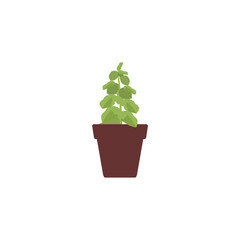 set of plants with brown pots white