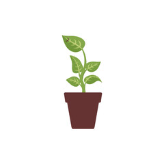 set of plants with brown pots green