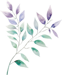 Watercolor leaf stems on a white background