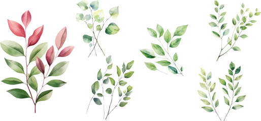 Watercolor leaf stems on a white background - obrazy, fototapety, plakaty