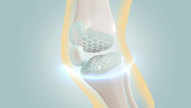 Orthopedic and bone treatment services Add collagen to knee joints 3d Rendering_EP2
