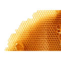 Honeycomb isolated on transparent background