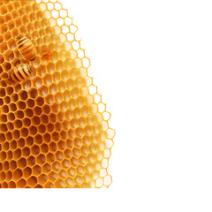 Honeycomb isolated on transparent background