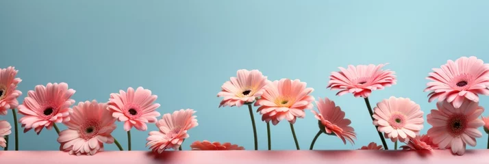 Tuinposter Floral border, assorted garden flowers background, romantic pink backdrop, flat lay, top view © Slanapotam