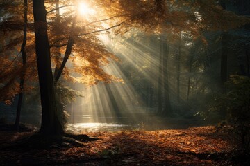 A sunlit forest with beams of light piercing through autumn leaves