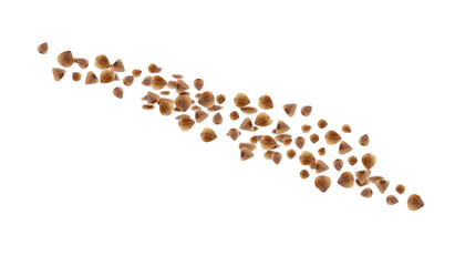 Buckwheat flying on white background. Grains in air
