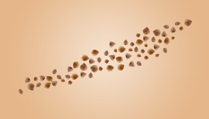 Buckwheat flying on light orange background. Grains in air, banner design