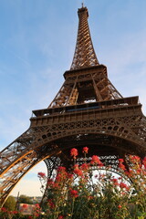 La tour Eiffel, célèbre monument parisien symbole de la ville de Paris, repeinte en 2023, et des fleurs rouges dans le jardin situé à son pied (France)