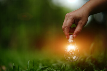 Light bulb Energy saving green nature background