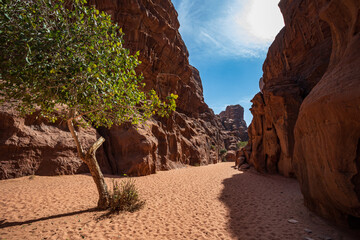 canyon nel deserto Wadi Rum, Giordania