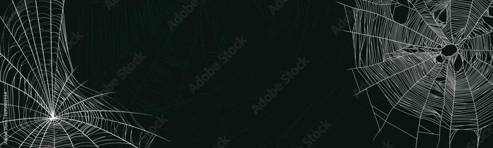 Wall mural spider web background design. vector background design with set of spider web