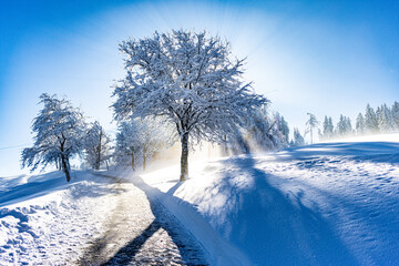 Winter and Sonne