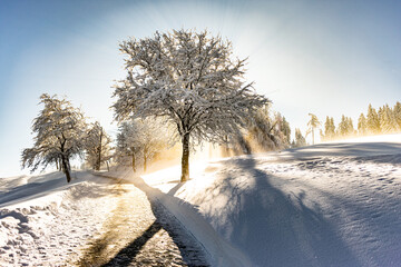 Winter und Sonne