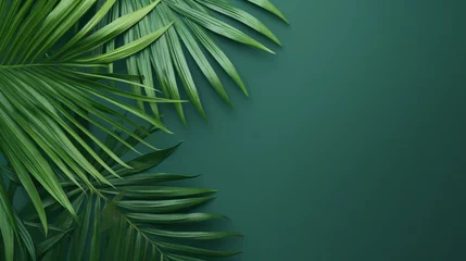Fotobehang Tropical palm leaves © Little