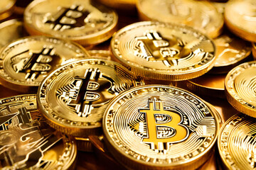 illustration bitcoin virtual currency, economy. Virtual Monte born at the end of 2008