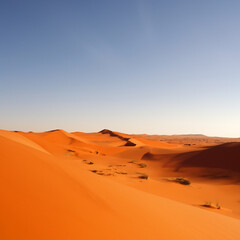Fototapeta na wymiar sand dunes in the desert with clear sky background