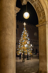 Venice, Italy: Christmas tree with lights in San Marco square in the evening
- 695806569