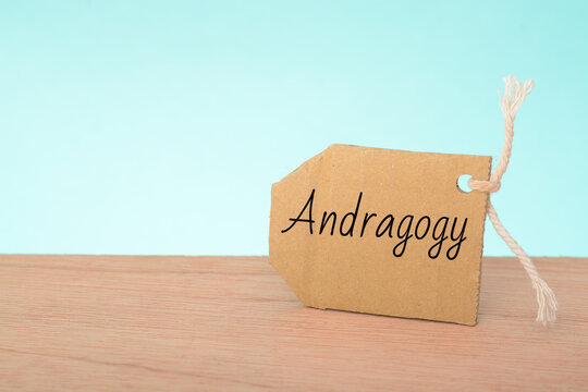 Adult Learning Theory or andragogy is the concept or study of how adults learn and how it differs from children. It aims to show how adult learning is distinct and identify the learning styles