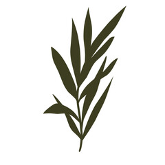 wreath vector illustration